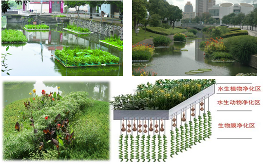 中山火炬開發(fā)區(qū)內(nèi)河涌綜合整治一期生態(tài)修復(fù)項目