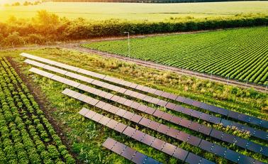 恩平市省級現(xiàn)代農(nóng)業(yè)“五位一體”示范